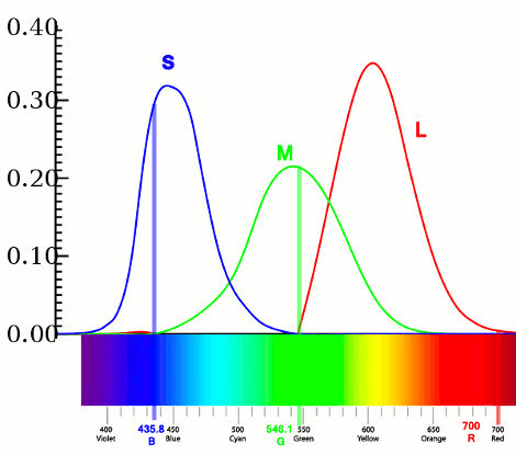 RGB colors assigned to the cones LMS